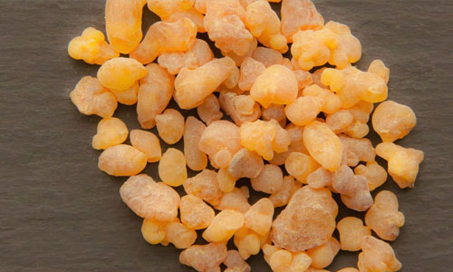 Boswellia Serrata Extract